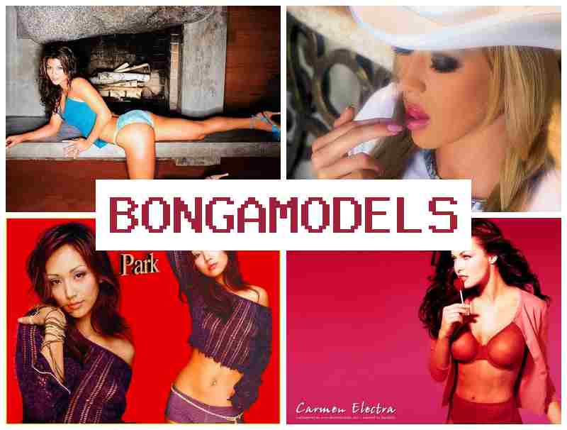 BONGA MODES πΊ Online Modeling via Smart Device with Continuous Operator Guidance BONGA MODES πΊ Online Modeling via Smart Device with Continuous Operator Guidance