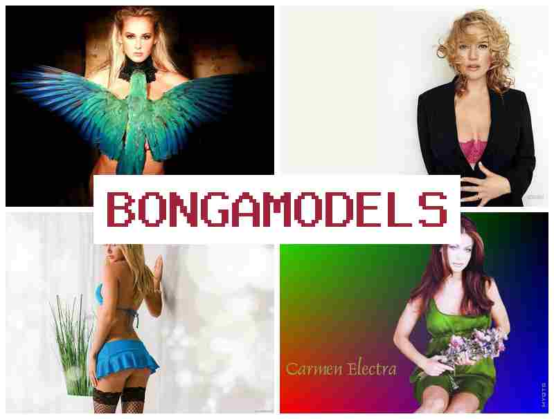 OBNGA MODELS ✔️ Internet Modeling Position with High Weekly Earnings